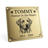 Brass Memorial plaque for a dog named Tommy with a portrait and years engraved on a white background