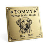 Brass Memorial plaque for a dog named Tommy with a portrait and years engraved on a white background